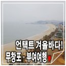 너무 좋았던 언택트 겨울 바다여행! 무창포 부여 여행 1박2일♥