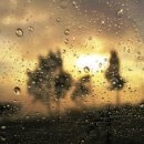 [학점은행제] 간호연구 및 통계 이미지