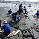 거차뻘배체험마을 이미지