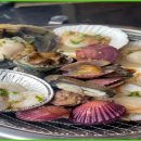 지금조개 이미지