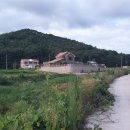 베리팜 펜션 이미지