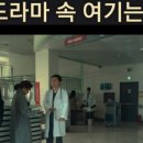 신흥애견센타 이미지