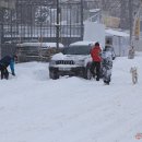 왕성목장 이미지