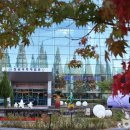 충혼로-1 이미지