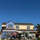 스테이반하나 | 강아지랑 제주도 가성비 숙소 찾는다면?!ㅣ스테이반하나 진짜 추천