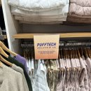 본테크 | 겨울 아우터 추천 : 유니클로 퍼프테크 파카,경량패딩 착용해본 후기