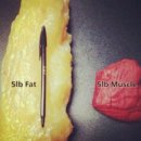 머슬메모리 이미지