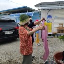 동송농장 이미지