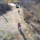 솔흑염소농장 이미지