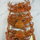 금곡동 농협하나로마트 앞 | 김해동상시장 김해칼국수-연화사(옛.김해객사후원지)-금곡동 하나로마트와 다이소-파스쿠찌 구포점