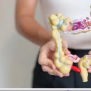 진 메디칼 이미지