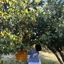 하랑하람 이미지