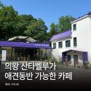 화이트 | 의왕 애견동반카페 산타벨루가 청계사 가다가 발견한 분위기 좋은 대형카페