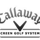 혜성스크린골프 이미지