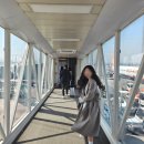 2박3일 제주 동쪽 코스｜먹돌고기국수·동문시장 우리수산·작은숲 자쿠지숙소 -1일차