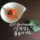 오래된 풍경이 예술을 입었다… ‘취향 저격’ 부산 여행 이미지