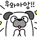 리차드헤어 - 동래구 | 리차드헤어