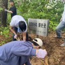 군평초등학교 이미지