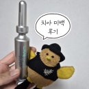 올리브독 | 누렁니탈출 올리브영 세일기간 추천템 셀프치아미백 후기