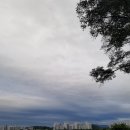 이연옥농장 이미지