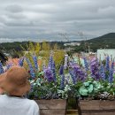 정원카 | [경기/김포] 서울 근교 대형카페 정원이 있는 브런치 맛집 후기 &lt;카페드첼시&gt;