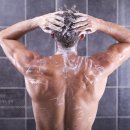 모스헤어 이미지