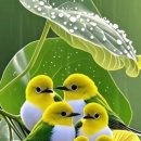 오늘의 행복 Daum카페