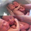 쌍둥이