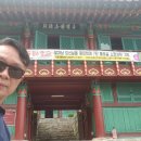 의령 수도사 석탑 및 승탑군 | 의령 수도사(宜寧 修道寺).원효대사(元曉大師)님의 발길따라 수도사를 걷다