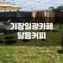 달음커피