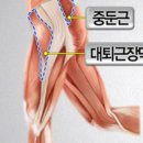 용인대삼성태권도 이미지