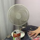 푸른열쇠 | [청주 신타로] 신타로 전문인 "푸른달타로" 후기