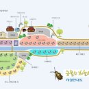 금물산하늘소캠핑장 이미지