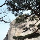 뮌헨호프 이미지