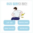 척추가 중심 이미지