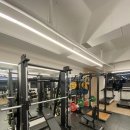 리든덤벨 | 송천동헬스장 pt 잘하는 리든덤벨