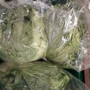 부광농산 - 평택시 서해로 1187-10 | 부광농산