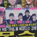 맘모스나이트 Daum카페