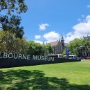 뷰티풀헬스케어 | 멜번 박물관(Melbourne Museum) 완전 정복 후기 아이와 함께 가기 좋은 멜번 필수 여행 코스