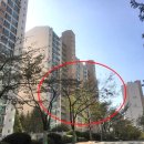 무지개마을럭키아파트경로당(엘지) | 용인시 수지구 성복동 성동마을 엘지빌리지1차 법원경매정보