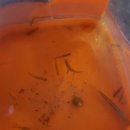 빨래터캠핑장 이미지