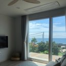 바이신산 이미지