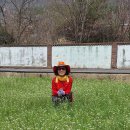 황금폭포하늘길 이미지