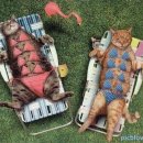 달콤한 휴식 이미지