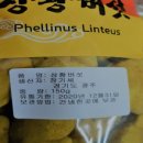 움직이는 방 이미지