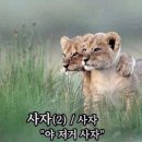 또 다른 눈~~ 이미지