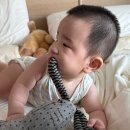 우리신경외과 | 27주 차 | 경희대 소아신경외과 진료4 / 6개월 접종 후기