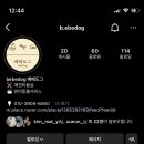 베베도그 이미지