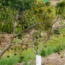 동부농장 이미지