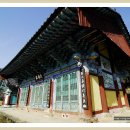 쌍계사 상록수림 이미지